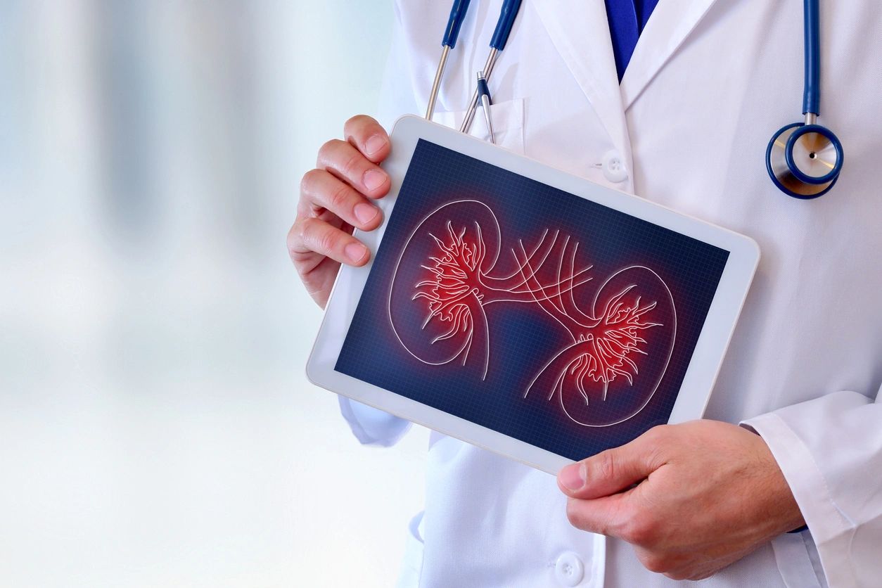 fm=f_oAxQ2OY A doctor holding up an image of a kidney.